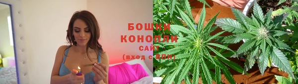 индика Нефтегорск