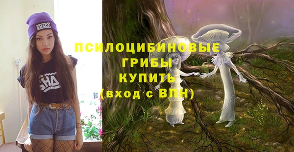 мяу мяу мука Надым