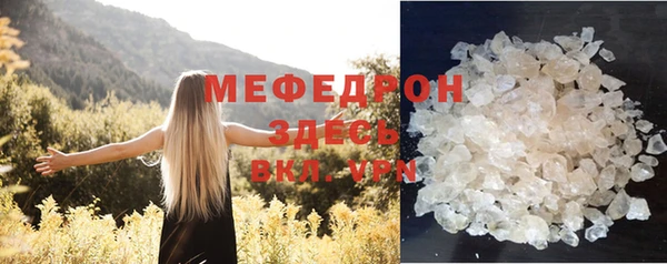 индика Нефтегорск